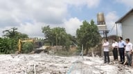 Prevenção da peste suína africana