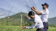 Die Provinz Khanh Hoa hat die dringende Einrichtung einer behördenübergreifenden Arbeitsgruppe angeordnet, die die Umsetzung der Vorschriften zur Jagd auf Salanganen auf lokaler Ebene überprüfen soll.
