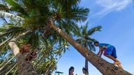Da Nangs sommerlekeplasser: Fra en trend til et genuint behov.