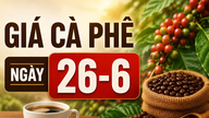 Prix ​​du café le 26 juin : Augmentation de 700 VND, atteignant 89 400 VND/kg.