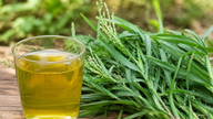 Quais são os benefícios de beber água aromatizada com Centella asiatica?