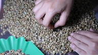 Giá cà phê hôm nay 26/6/2026: Dao động từ 89.000 - 89.400 đồng/kg