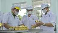 Od trsů zelených siamských banánů až po sen o pozvednutí vietnamských zemědělských produktů.