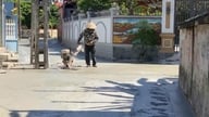 Яскраві, зелені, чисті та красиві вулиці, створені зусиллями людей.