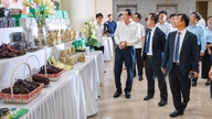 551 proyek, 1.426 model ilmu pengetahuan dan teknologi - mata pencaharian berkelanjutan untuk daerah pedesaan dan pegunungan.