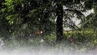 Warning of thunderstorms, tornadoes, lightning, hail, and localized heavy rainfall in Nghe An province.