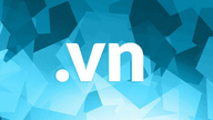 .vn domænenavnsauktion: Ok.vn modtager det højeste bud på 109 millioner VND.