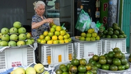 Marché de Hô Chi Minh-Ville, le 26 juin : les prix du porc baissent légèrement, et de nouveaux légumes chinois arrivent sur les marchés.
