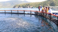 Working with fishermen to switch to HDPE cages for offshore fishing.