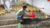 فصلوں اور مویشیوں کو گرمی اور خشک سالی سے بچانے کے لیے فعال اقدامات۔