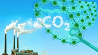 En tan solo 3 días, Vietnam pondrá en marcha su sistema de intercambio de carbono.