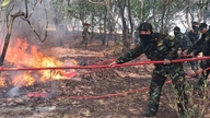 Сотні офіцерів та солдатів борються з лісовими пожежами в провінції Куангчі.