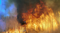 Firefighting plane crashes in Canada, 3 killed.