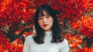 本日6月27日のラッキーナンバー：豚（Hợi）は幸運をもたらし、馬（Ngọ）は吉兆と成就をもたらし、龍（Thìn）は富を求めるには不向きです。