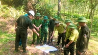 La provincia di Ha Tinh sta lottando per proteggere le sue foreste a causa di ondate di calore da record.