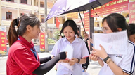 Hai Phong announces the entrance exam scores for 10th grade in high schools for the 2026-2027 school year.