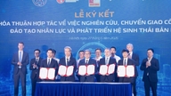 Hanoi fördert die Entwicklung der digitalen Wirtschaft und der digitalen Gesellschaft im neuen Zeitalter.