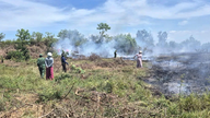 Kebakaran hutan di komune Hoan Lao telah dipadamkan dengan segera.