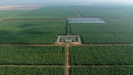 THACO AGRI bouwt een groene agrarische waardeketen op in het hart van Indochina.