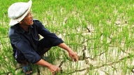 De overheid geeft prioriteit aan het toewijzen van budget voor de bestrijding van aardverschuivingen en de indringing van zout water in de Mekongdelta.