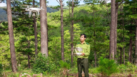 Khoảng trống thể chế trong quản trị rừng