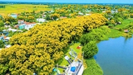 Plan rozwoju urbanistycznego Da Nang musi uwzględniać ochronę kultury i dziedzictwa.