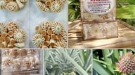 Can Tho: Družstva se propojují s trhy a zvyšují hodnotu zemědělských produktů.