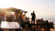 Dé un paseo en una carreta tirada por bueyes para explorar el mercado de pescado junto al mar en La Gi.