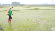 Adattarsi all'aumento dei prezzi dei fattori di produzione agricola