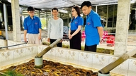Seorang pemuda dari Delta Mekong memperoleh keuntungan yang tinggi daripada menternak belut hasil daripada 'rahsia' ini.