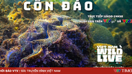 NA ŻYWO: Nurkowanie na wyspie Hon Bong Lan z Vietnam Wild Live (12:30 na VTVgo i VTV2)