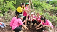 50 años después de que Saigón recibiera el nombre de Gia Dinh en honor al presidente Ho Chi Minh: Los habitantes de la comuna de Can Gio compiten por plantar árboles.