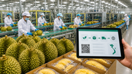 Los productos agrícolas vietnamitas se enfrentan a un punto de inflexión en materia de calidad. - Parte final: La clave para conquistar un mercado de mil millones de personas.