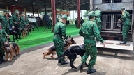 Vietnam, deprem sonrası arama ve kurtarma operasyonları için Venezuela'ya 8 adet sınır muhafızı eğitimli köpeği gönderdi.