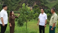 Bekas medan perang itu telah menjadi "lombong emas hijau".