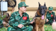 El ejército vietnamita y sus perros militares fueron desplegados para brindar ayuda tras el terremoto en Venezuela.