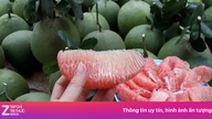 Không chỉ ngon ngọt, bưởi da xanh còn mang lại 8 lợi ích bất ngờ