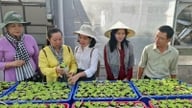 Miasto Ho Chi Minh stawia sobie za cel wyeliminowanie ubóstwa i doprowadzenie do tego, aby do 2030 roku 100% jego gmin spełniało standardy nowych obszarów wiejskich.
