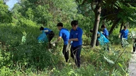 हो ची मिन्ह सिटी में युवा कर्मचारी कचरा साफ कर रहे हैं और पर्यावरण संरक्षण पहलों को बढ़ावा दे रहे हैं।