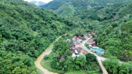Nghe An-provinsen samler inn 425 milliarder dong fra skogplantingsprosjekter.