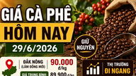 Kaffeepreise heute, 29. Juni: Unverändert, Höchstpreis 90.000 VND/kg