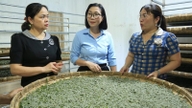 Nghị quyết 21 tạo sức bật mạnh mẽ cho nông nghiệp Lào Cai