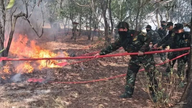 Implement urgent measures to prevent and control forest fires.