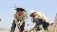 Vremea de astăzi (29 iunie): Căldură și soare în centrul Vietnamului, furtuni în sudul Vietnamului seara.