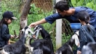 Không thể giao trẻ em cho mạng xã hội: Phát triển phiên bản dành cho trẻ em