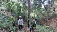 Gia Lai: Au fost descoperite 153 de încălcări ale legilor forestiere.