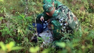 早期に、そして遠距離から薬物に対する防護壁を築く。