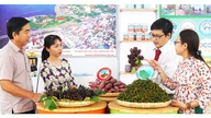 เป็นสะพานเชื่อมไปสู่การนำนโยบายไปสู่การปฏิบัติจริง