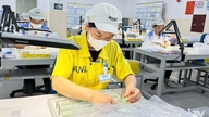 Ausländische Direktinvestitionen (ADI) treiben das industrielle Wachstum an.