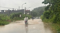 Alerte aux risques d'inondations soudaines et de glissements de terrain dans 8 provinces du nord du Vietnam et des Hauts Plateaux du Centre.